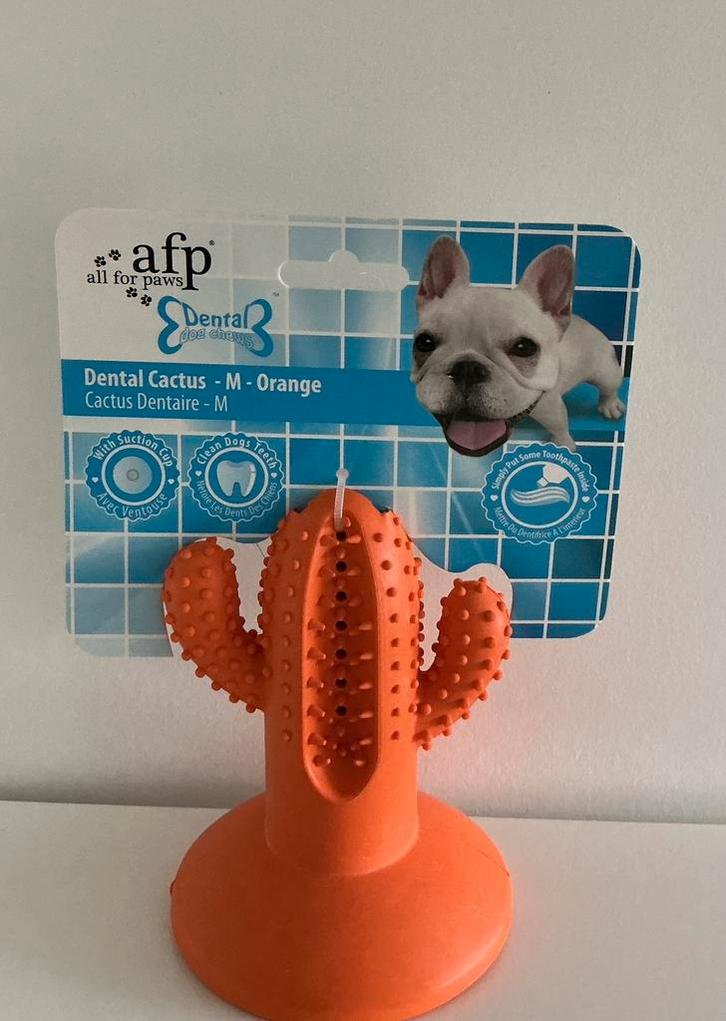 All for paws dental cactus medium, Dieren en Toebehoren, Hondenspeelgoed, Nieuw, Kauwspeelgoed, Ophalen of Verzenden