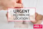 Op zoek naar een huurwoning of appartement - URGENT, Immo, Overige soorten, Hastière - Doische, Provincie Namen