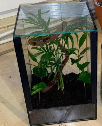 Vivarium - terrarium - paludariul beschikbaar voor biedingen