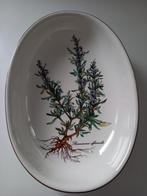 Villerroy&Boch vitro porselaine schotel Botanica, Ophalen, Zo goed als nieuw, Porselein