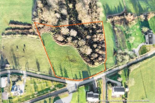 Terrain à vendre à Durbuy, Immo, Gronden en Bouwgronden, 1500 m² of meer