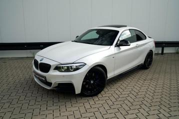 BMW 240 M240i XDRIVE | M-PERFORMANCE | PANO | H&K | CAMERA beschikbaar voor biedingen
