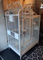 Kooi voor papegaai of parkieten, Ophalen