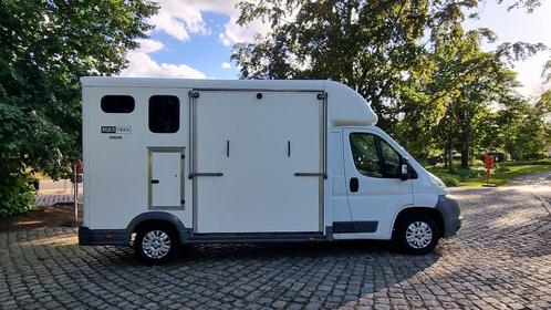 Paardencamionette te huur  HAACHT, Dieren en Toebehoren, Paarden en Pony's | Trailers en Aanhangwagens, Gebruikt, Overige typen