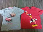 T-shirts Disneyland maat 116, Kinderen en Baby's, Kinderkleding | Maat 116, Gebruikt, Ophalen of Verzenden