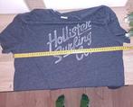 Hollister : blauwgrijs t-shirt , maat M, Ophalen of Verzenden, Zo goed als nieuw, Hollister, Maat 48/50 (M)