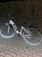 Thompson elektrische fiets, Fietsen en Brommers, Ophalen, Nieuw, Overige merken