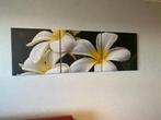Wanddercoratie 3 foto’s bloem, Antiek en Kunst, Kunst | Schilderijen | Abstract, Ophalen of Verzenden
