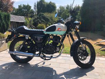 Mash seventy-five beschikbaar voor biedingen