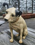 Antieke RCA Victor Nipper dog, Enlèvement