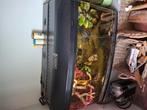 Te koop mooie degelijk aquarium met inhoud, Dieren en Toebehoren, Ophalen, Zo goed als nieuw