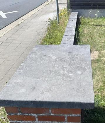 Hard steenplaat / blauwsteen voor tuin muur ! 55,5 * 104 beschikbaar voor biedingen