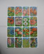 Editions Hemma Serie 39 - Tableau 21 - Fleurs, Antiek en Kunst, Ophalen of Verzenden, Natuur en Biologie