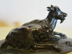 Chèvre en bronze antique, chèvre, bronze vers 1920, Antiquités & Art, Bronze, Envoi