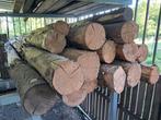 Houtblokken van 3 meter en 1 van meer dan 5 meter op een dro, Ophalen