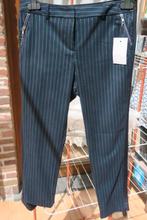 Broek nieuw blauw groene streep Aaiko mt 36, Kleding | Dames, Aaiko, Blauw, Nieuw, Ophalen of Verzenden