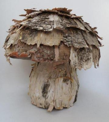 versiering 2 paddestoelen beschikbaar voor biedingen