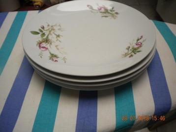 Grote borden (3st.) + Platte borden (6st.)  beschikbaar voor biedingen