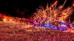 Echange: 4x Tomorrowland 26/7 contre 4x 27/7, Tickets en Kaartjes, Evenementen en Festivals, Meerdaags, Drie personen of meer