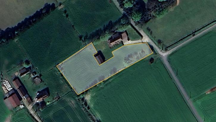 Weide te huur - 4000m², Dieren en Toebehoren, Stalling en Weidegang, Opfok, Stalling, Weidegang