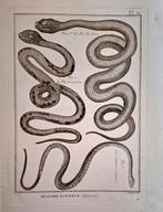 Ensemble estampes Serpents ( 1790), Enlèvement ou Envoi
