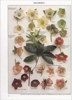 boek: vaste planten + snijbloemen (Spectrum natuurgidsen), Comme neuf, Envoi, Jardinage et Plantes de jardin