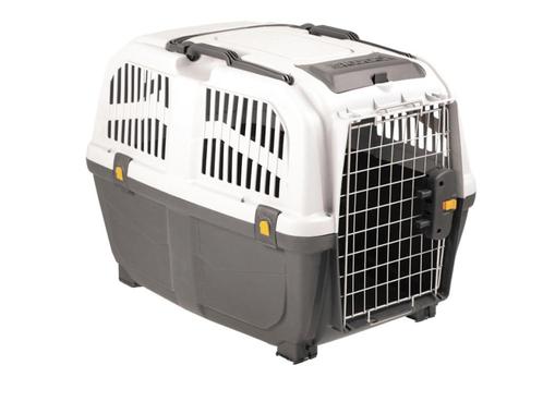 TRANSPORTBOX SKUDO  IATA GRIJS, Dieren en Toebehoren, Transportboxen, Nieuw, Ophalen of Verzenden
