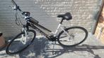 Sportieve damesfiets, Fietsen en Brommers, 53 tot 56 cm, Nieuw, Overige maten, Meer dan 20 versnellingen