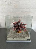 Aquarium Superfish, Ophalen, Zo goed als nieuw