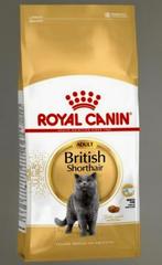 Eukanuba Britse Korthaar 4 kg, Ophalen, Kat