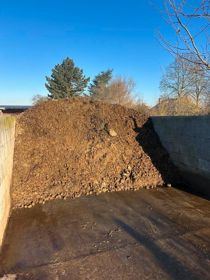 Gratis Paardenmest, Tuin en Terras, Aarde en Mest, Ophalen