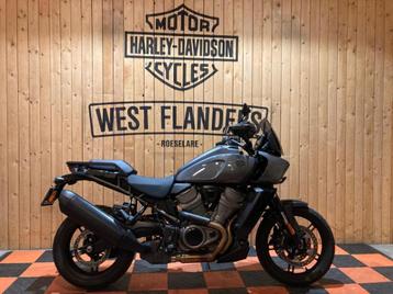 Harley-Davidson Pan America 1250 (bj 2022) beschikbaar voor biedingen