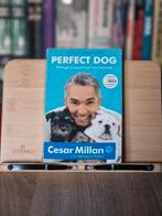 How to raise the perfect Dog  -  Cesar Millan., Boeken, Ophalen of Verzenden, Gelezen, Honden