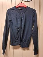 lot gilet NEXT, Ophalen of Verzenden, Gedragen, Blauw