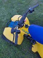 Qaud SUZUKI LT 50 cc, 1 cylindre, 50 cm³