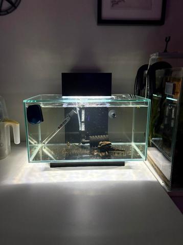 Fluval edge, Enlèvement, Utilisé, Aquarium vide
