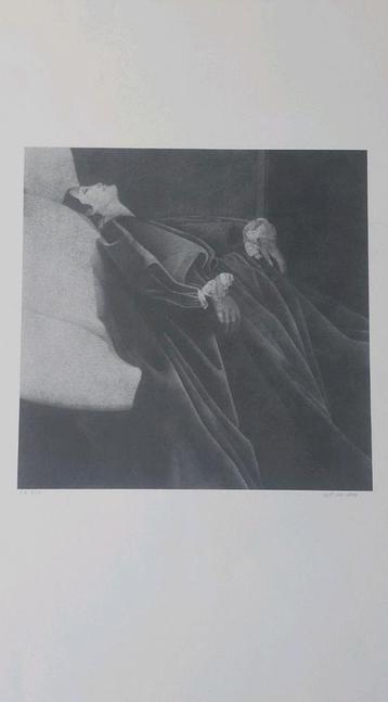 Gesigneerd gelimiteerd litho beschikbaar voor biedingen