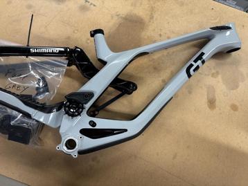 GT bicycles FURY frame carbon DH used 2024 beschikbaar voor biedingen