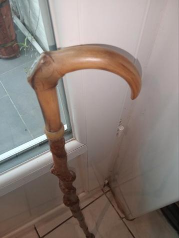 Torthoornstok 88 cm beschikbaar voor biedingen