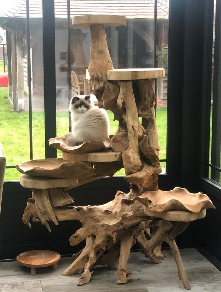 Kattenpaal, Krabpaal in Teak, Dieren en Toebehoren, Krabmeubelen, Nieuw, Krabpaal, Ophalen