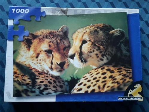 Puzzel, Jachtluipaarden, 1000 stukken, 68 x 44 cm, compleet, Hobby en Vrije tijd, Denksport en Puzzels, Zo goed als nieuw, Legpuzzel