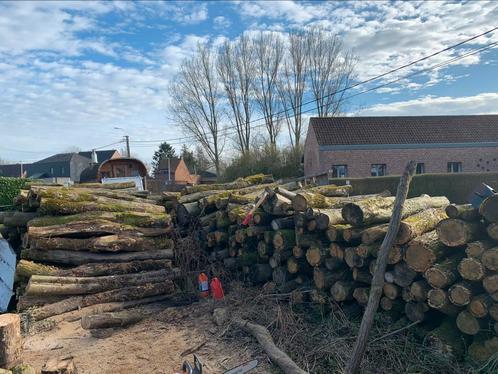 Brandhout te koop Eik, Haagbeuk per 1,2kuub, Tuin en Terras, Brandhout, Blokken, Eikenhout, Ophalen of Verzenden