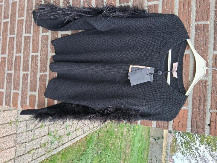 Dames pull/trui/sweater  Twinset Mt M, Vêtements | Femmes, Pulls & Gilets, Neuf, Taille 38/40 (M), Noir, Enlèvement ou Envoi