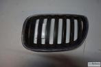Bumper grille (Nier) origineel Bmw X5 E53, Auto-onderdelen, Gebruikt, -, -, Ophalen of Verzenden