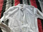 •	HEMD WIT MERK HILFIGER DENIM– MAAT S  •	DUUR IN AANKOOP •, Enlèvement ou Envoi, Tour de cou 38 (S) ou plus petit, Porté, Blanc