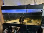 Aquarium met ijzeren onderstel, Dieren en Toebehoren, Ophalen, Gebruikt, Leeg aquarium