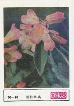 lucifermerk luciferetiket #199 bloemen (50-10), Boîtes ou marques d'allumettes, Envoi, Neuf
