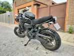 Yamaha XSR700, Motoren, 700 cc, Particulier, Meer dan 35 kW, Naked bike