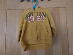 Hoodie, Kinderen en Baby's, Babykleding | Maat 74, Ophalen of Verzenden, Gebruikt, H&m, Truitje of Vestje