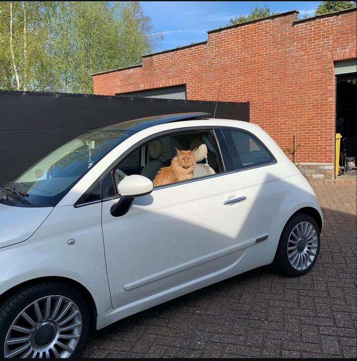 Originele Fiat 500 sportvelgen 16 “  als nieuw, Auto-onderdelen, Banden en Velgen, Velg(en), Zomerbanden, 16 inch, 195 mm, Personenwagen